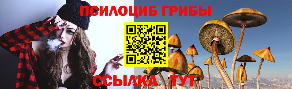 Ступино  Галлюциногенные грибы прущие грибы  Вход с VPN 